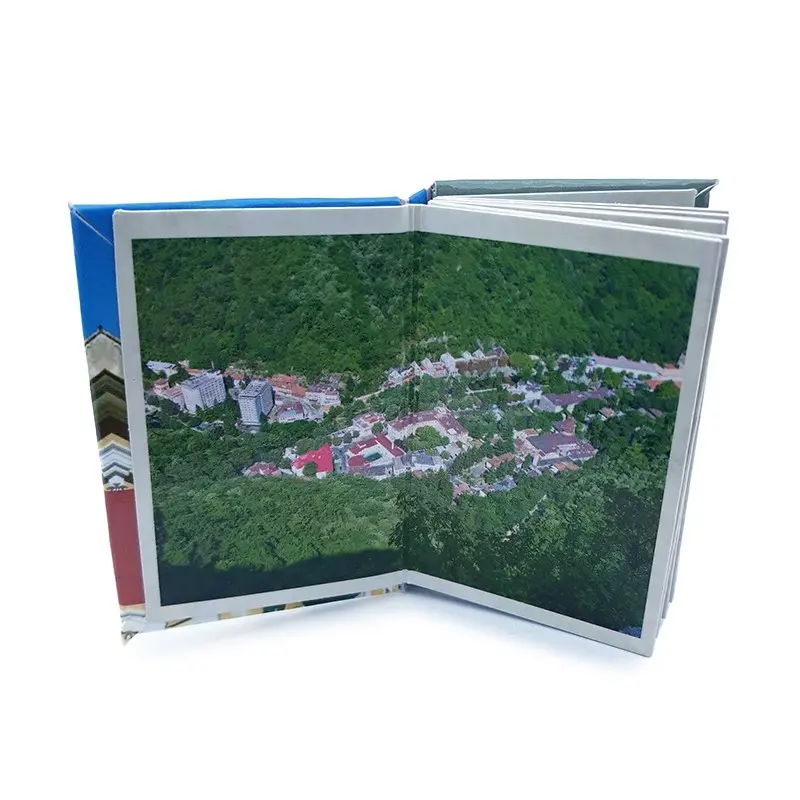 Baile herculane, magnet carte